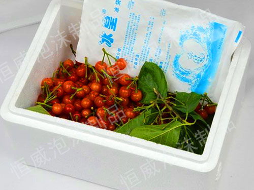 水果泡沫包装制品